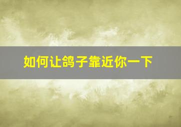 如何让鸽子靠近你一下