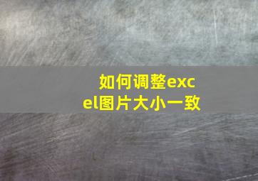 如何调整excel图片大小一致