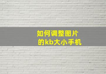 如何调整图片的kb大小手机