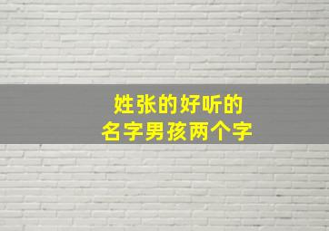 姓张的好听的名字男孩两个字