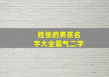 姓张的男孩名字大全霸气二字