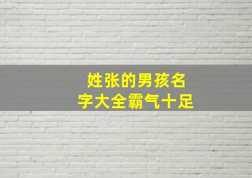 姓张的男孩名字大全霸气十足