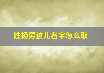 姓杨男孩儿名字怎么取