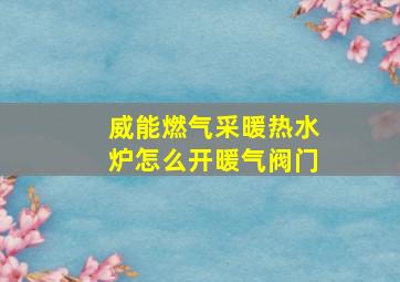 威能燃气采暖热水炉怎么开暖气阀门