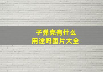 子弹壳有什么用途吗图片大全