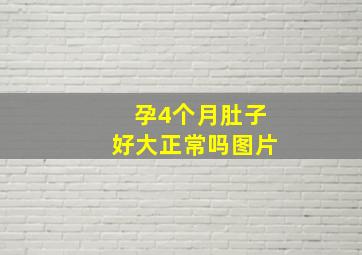 孕4个月肚子好大正常吗图片