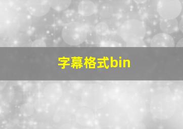 字幕格式bin