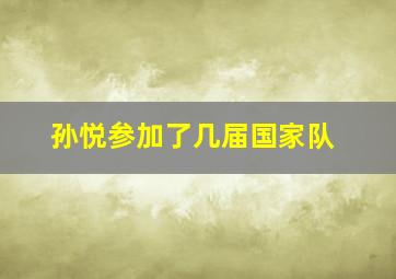 孙悦参加了几届国家队