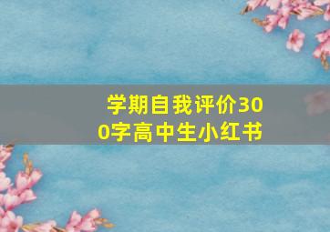 学期自我评价300字高中生小红书