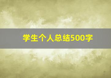 学生个人总结500字