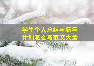 学生个人总结与新年计划怎么写范文大全