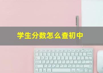 学生分数怎么查初中