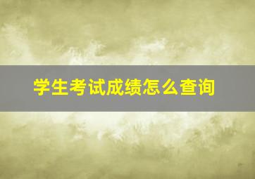 学生考试成绩怎么查询