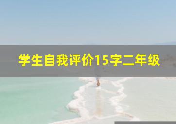 学生自我评价15字二年级