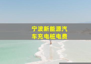 宁波新能源汽车充电桩电费