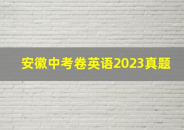 安徽中考卷英语2023真题