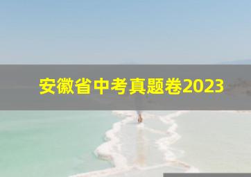 安徽省中考真题卷2023