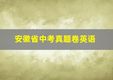 安徽省中考真题卷英语