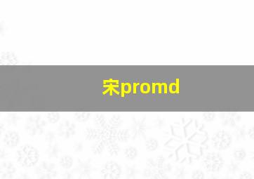 宋promd