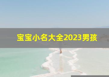 宝宝小名大全2023男孩