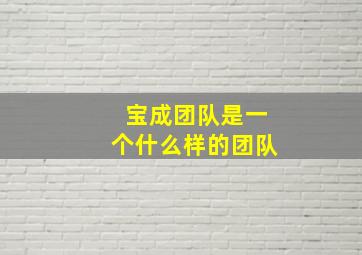 宝成团队是一个什么样的团队