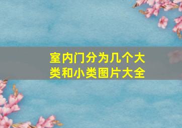 室内门分为几个大类和小类图片大全