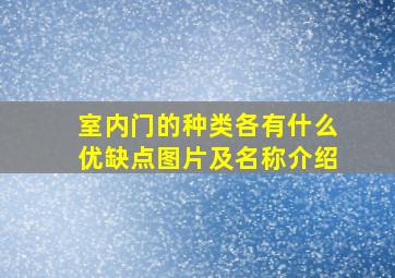 室内门的种类各有什么优缺点图片及名称介绍