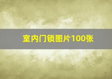 室内门锁图片100张