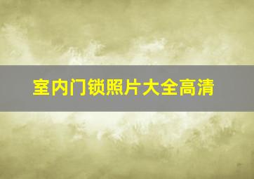 室内门锁照片大全高清