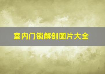 室内门锁解剖图片大全