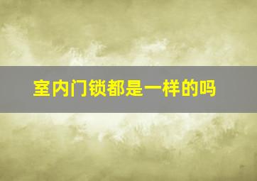 室内门锁都是一样的吗