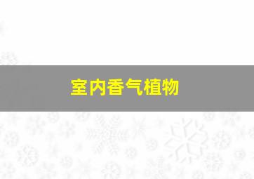 室内香气植物