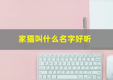 家猫叫什么名字好听