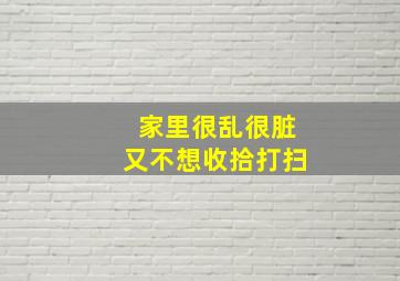 家里很乱很脏又不想收拾打扫