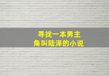 寻找一本男主角叫陆泽的小说