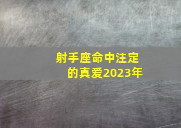 射手座命中注定的真爱2023年