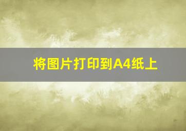 将图片打印到A4纸上