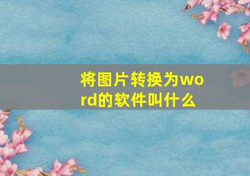 将图片转换为word的软件叫什么