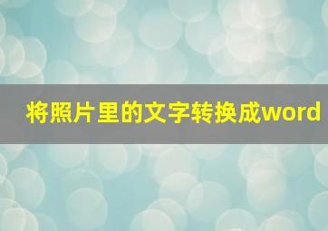 将照片里的文字转换成word