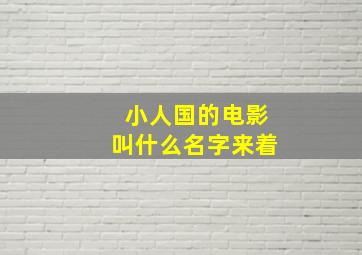 小人国的电影叫什么名字来着