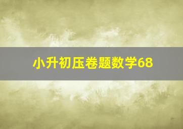 小升初压卷题数学68