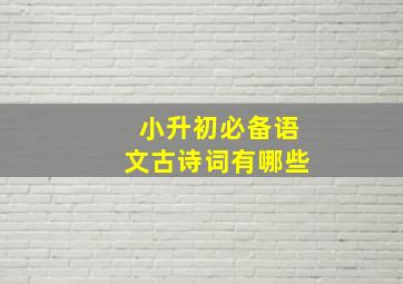 小升初必备语文古诗词有哪些