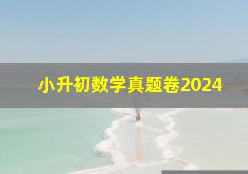 小升初数学真题卷2024