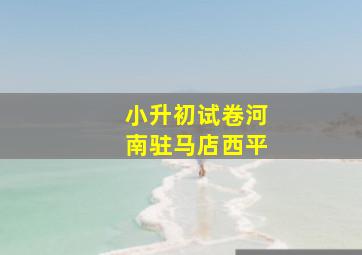 小升初试卷河南驻马店西平