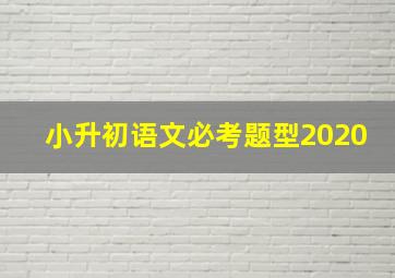 小升初语文必考题型2020