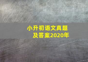 小升初语文真题及答案2020年