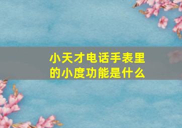 小天才电话手表里的小度功能是什么