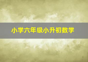 小学六年级小升初数学