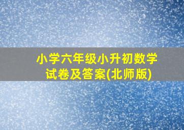 小学六年级小升初数学试卷及答案(北师版)