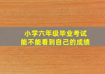 小学六年级毕业考试能不能看到自己的成绩